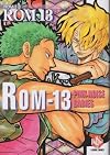 Rom 13: Pink Noise Babies