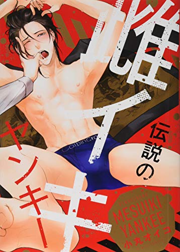 伝説の雌イキヤンキー