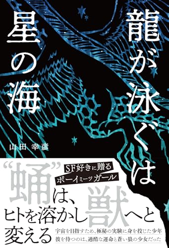 龍が泳ぐは星の海