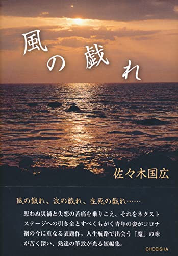 風の戯れ(季刊文科コレクション)