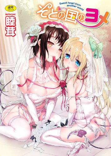そとの国のヨメ(通常版)  (成)