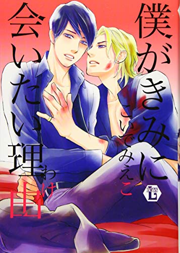 僕がきみに会いたい理由