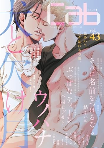 Cab(v.43) Original　Boys　love　Anthol