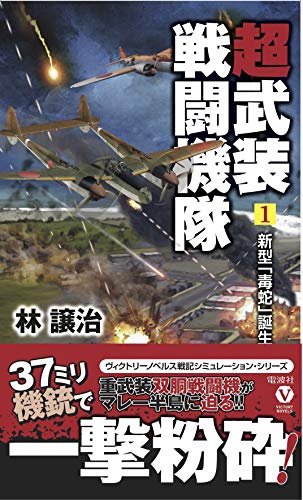 超武装戦闘機隊(1)