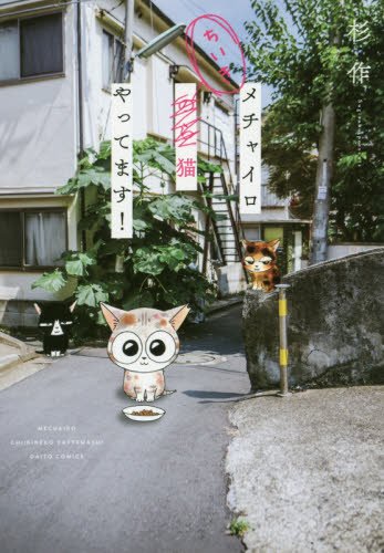 メチャイロちいき猫やってます!