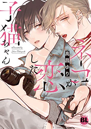 ネコが恋した子猫ちゃん