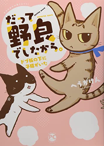 だって野良でしたから。 ドブ板の下に子猫がいた