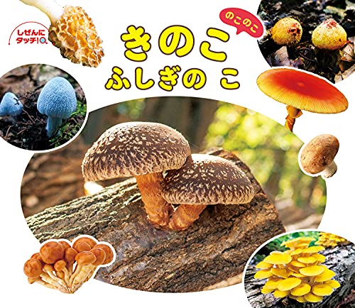 一気にわかる！池上彰の世界情勢２０１８ 国際紛争、一触即発編