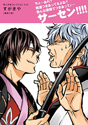 同人作家コレクション 245