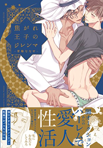 焦がれ王子のジレンマ