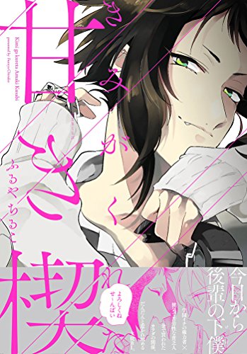 きみがくれた甘き楔