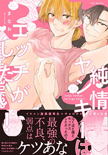 純情ヤンキーはエッチがしたい!