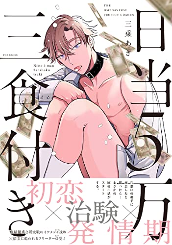 日当5万三食付き