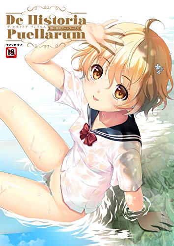 野々原幹アートワークス De Historia Puellarum