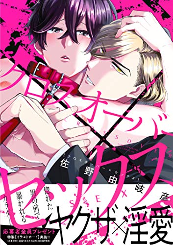 クロスオーバー✕セックス