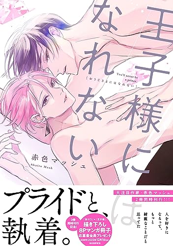 王子様にはなれない