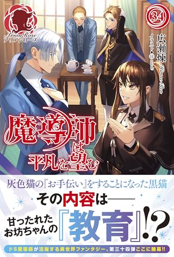 魔導師は平凡を望む 34