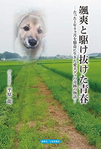颯爽と駆け抜けた青春 たった1年9ヶ月を懸命に生きた愛犬グゥの奇跡の物語