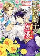 王宮騎士の溺愛