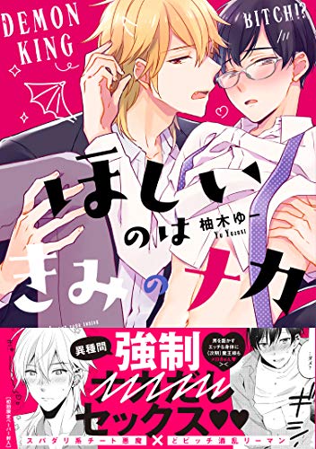 ほしいのはきみのナカ