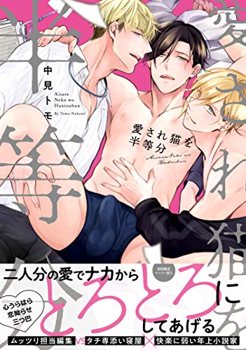 愛され猫を半等分