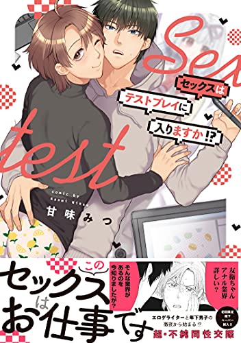 セックスはテストプレイに入りますか!?