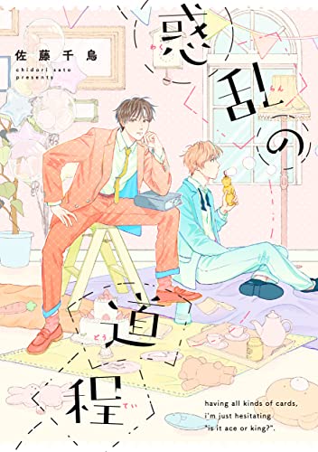 惑乱の道程の表紙