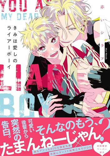 きみは愛しのライアーボーイ表紙画像