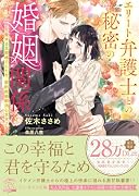 エリート弁護士との秘密の婚姻関係 〜愛する旦那様でしたが、契約結婚解消します!〜