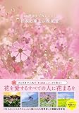 100年後まで残したい! 日本の美しい花風景 花を愛するすべての人に花まるを。インスタで人気の「#はなまっぷ」が1冊に! 175人のインスタグラマーから届けられた四季折々の花写真が満載の素敵な1冊が誕生しました。 はなまっぷ (著) 三才ブックス