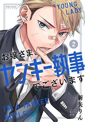 お嬢さま、ヤンキー執事でございます(2)