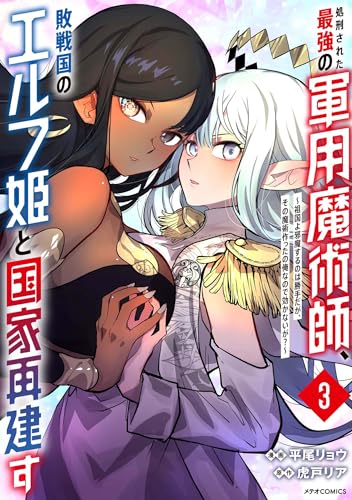 処刑された最強の軍用魔術師、敗戦国のエルフ姫と国家再建す～祖国よ邪魔するのは勝手だが、その魔術作ったの俺なので効かないが？～（3）