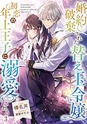 婚約破棄された替え玉令嬢、初恋の年上王子に溺愛される3