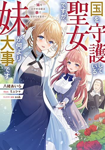 国を守護している聖女ですが、妹が何より大事です〜妹を泣かせる奴は拳で分からせます〜