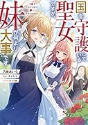 国を守護している聖女ですが、妹が何より大事です〜妹を泣かせる奴は拳で分からせます〜