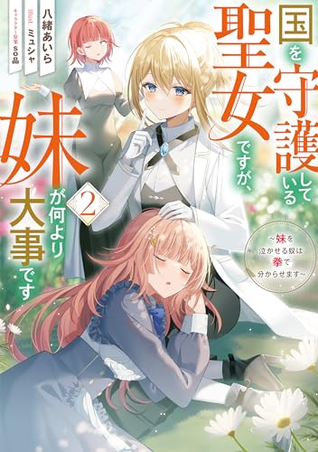 国を守護している聖女ですが、妹が何より大事です2〜妹を泣かせる奴は拳で分からせます〜