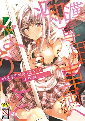 痴漢専用車両へようこそ