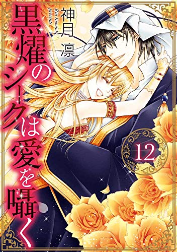 黒燿のシークは愛を囁く 12