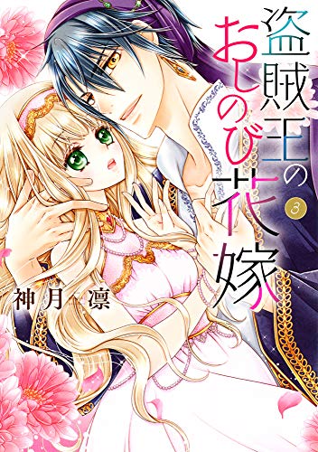 盗賊王のおしのび花嫁 3