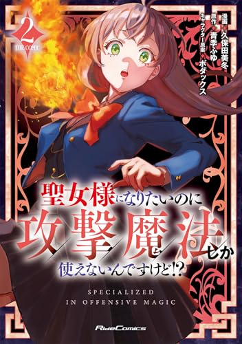 聖女様になりたいのに攻撃魔法しか使えないんですけど！？  THE COMIC（2）