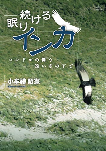 眠り続けるインカ:コンドルの舞う遠い空の下で【POD】