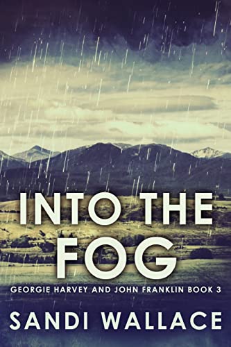 Into The Fog book cover