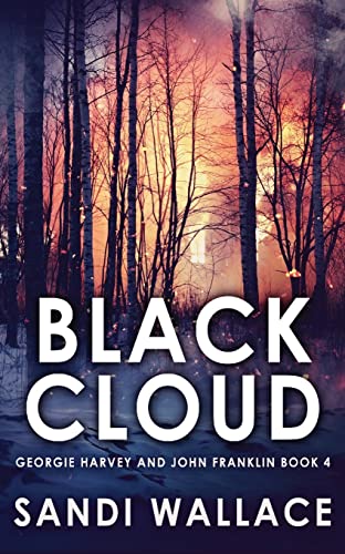 Black Cloud book cover