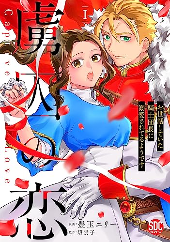 虜囚の恋の表紙