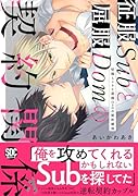 征服Subと屈服Domの契約関係