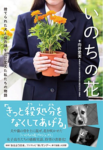 一気にわかる！池上彰の世界情勢２０１８ 国際紛争、一触即発編