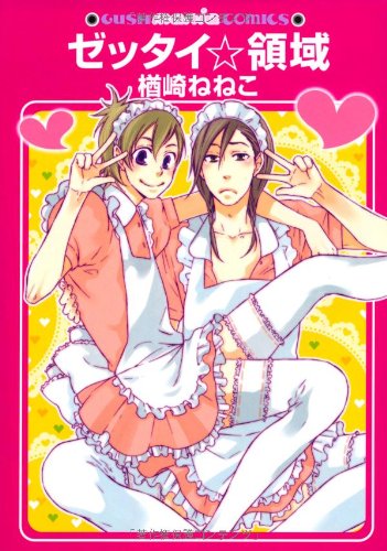 ゼッタイ☆領域