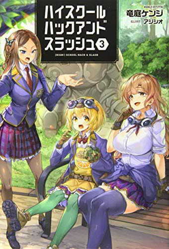 ハイスクールハックアンドスラッシュ(3巻)