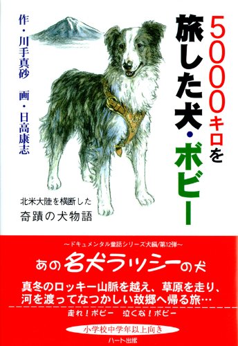 一気にわかる！池上彰の世界情勢２０１８ 国際紛争、一触即発編