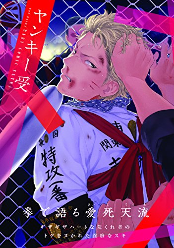 ヤンキー受け(仮)